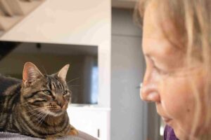 deuil animalier accompagnement plumes d'anges