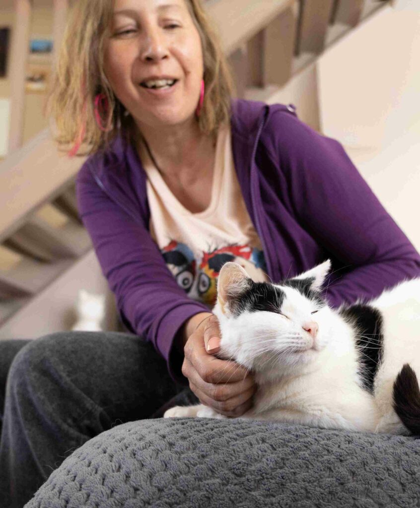 Lahochi animal plumes d'anges