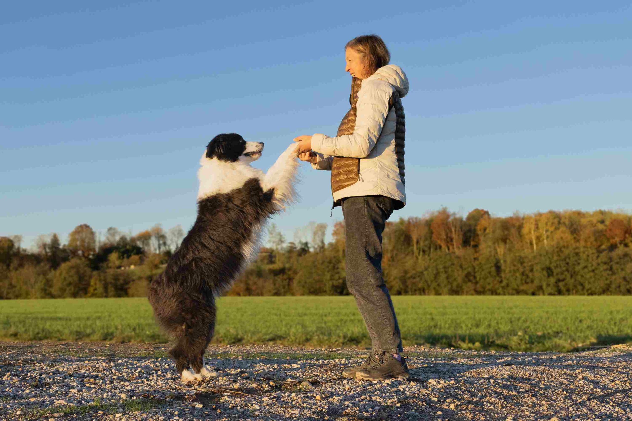 communiquer avec les animaux parler avec les animaux