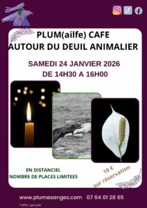 atelier-rencontre deuil animalier par plumes d'anges