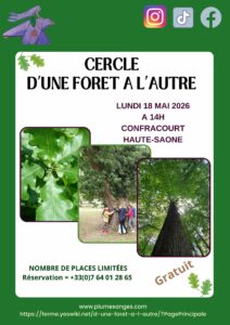 Cercle d'une forêt à l'autre par plumes d'anges en haute-saone