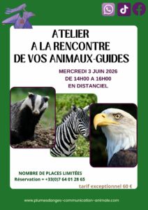 ATELIER DECOUVERTE ANIMAUX GUIDES JUIN 2026 PRISCA MELLOUET PLUMES D'ANGES