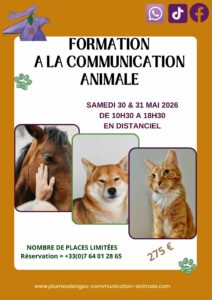 FORMATION COMMUNICATION ANIMALE PAR PRISCA MELLOUET PLUMES D'ANGES JUIN 2026
