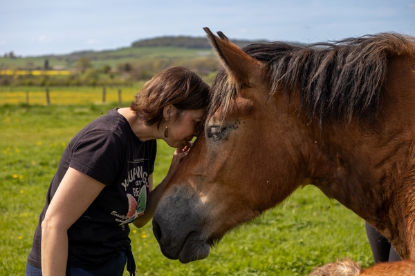 Prisca MELLOUET Communication animale cheval ardennais Plumes d'Anges
