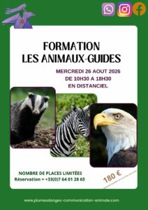 FORMATION ANIMAUX GUIDES AOUT 2026 PLUMES D'ANGES PRISCA MELLOUET