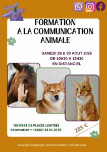 FORMATION COMMUNICATION ANIMALE AOUT 2026 PLUMES D'ANGES PRISCA MELLOUET