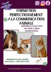 FORMATION PERFECTIONNEMENT COMMUNICATION ANIMALE AOUT 2026 PLUMES D'ANGES PRISCA MELLOUET