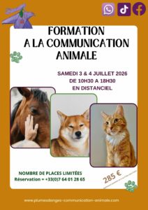 formation communication animale avec prisca mellouet juillet 2026 plumes d'anges