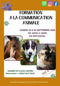 FORMATION COMMUNICATION ANIMALE SEPTEMBRE 2026