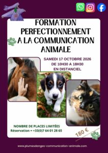 FORMATION PERFECTIONNEMENT COMMUNICATION ANIMALE OCTOBRE 2026 PLUMES D'ANGES PRISCA MELLOUET