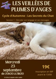 LES VEILLES DE PLUMES D'ANGES- soirée communication animale et chat- plumes d'anges