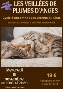 LES VEILLES DE PLUMES D'ANGES- soirée communication animale et chat- plumes d'anges novembre 2026