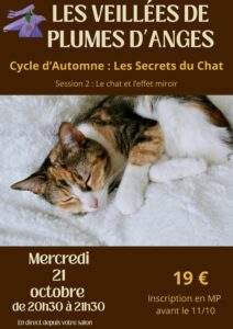 LES VEILLES DE PLUMES D'ANGES- soirée communication animale et chat- plumes d'anges octobre 2026