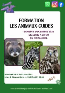 formation ANIMAUX GUIDES PAR PRISCA MELLOUET POUR PLUMES D'ANGES DECEMBRE 2026
