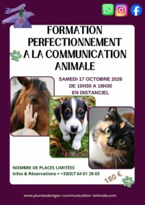 formation perfectionnement communication animale avec prisca mellouet plumes d'anges octobre 2026