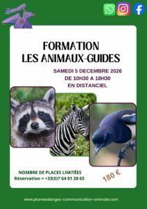 formation les animaux-guides avec prisca mellouet plumes d'anges décembre 2026