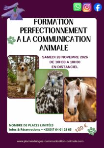 formation perfectionnement communication animale avec prisca mellouet plumes d'anges novembre 2026